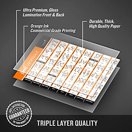 image for NewMe Fitness Workout Posters for Home Gym, Stability Exercise Posters
