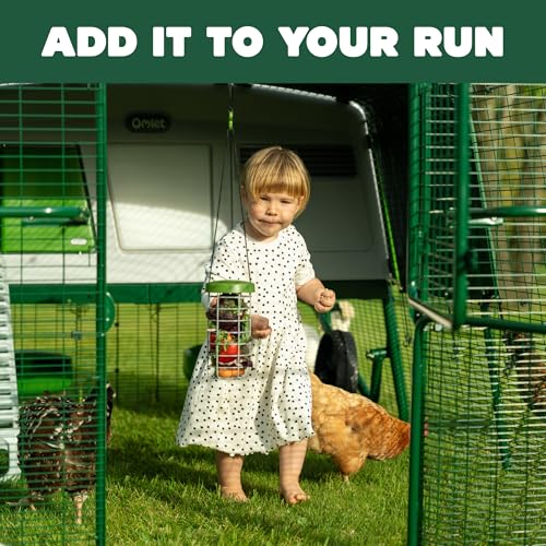 Image of Omlet Caddi Chicken Treat Holder | Attaches Easily to Any Chicken Run | Durable and Practical | Fresh and Healthy Chicken Feeder | Interactive Fun for Your Chickens