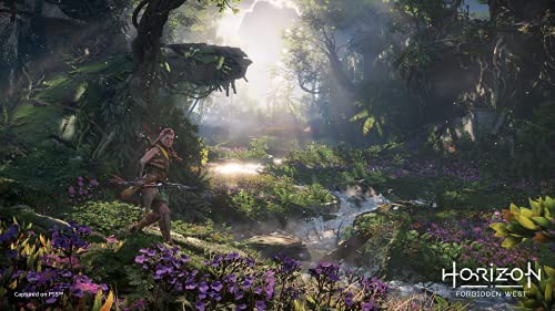 Image of Horizon Forbidden West Special Edition (PS5)