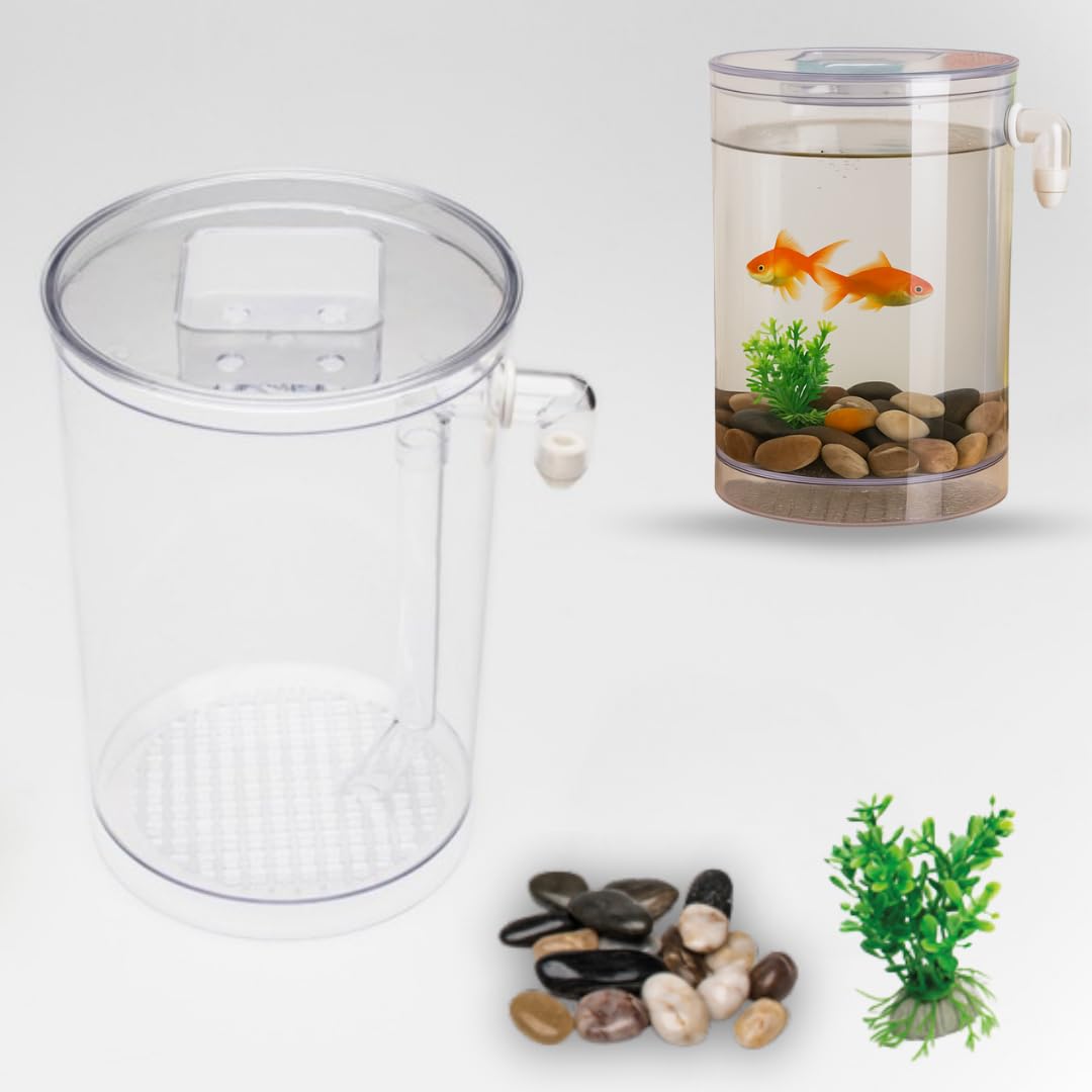 Fish Wonder Acuario Autolimpiador con Luz LED | Mini Acuario con Sistema de Limpieza Incorporado, Piedras y Plantas Decorativas | Agua Clara Siempre | Fácil Mantenimiento – Ideal para Niños y Hogar