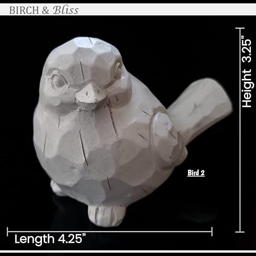 Miniatura 4 de Birch & Bliss Chubby White Modern Farmhouse Birds  Juego de 2  Figura rústica tallada de pájaro envejecido para el hogar  Regalos para mamá, familia