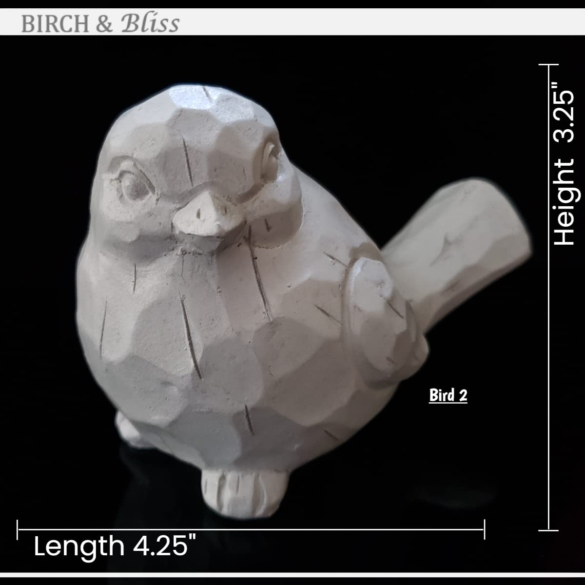 Birch & Bliss Pulchne białe nowoczesne ptaki wiejskie - zestaw 2 - rzeźbiony rustykalny postarzany ptak dekoracje do domu akcenty - piękna dekoracja ślubna