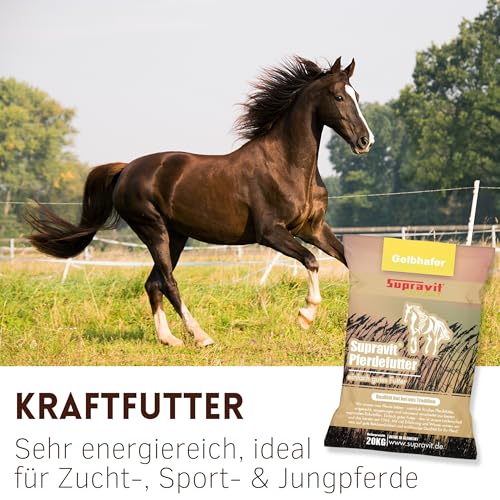 Supravit Hafer ganz 20kg | Frischer gelber Futterhafer natürlich & ungeschält für Pferd und Pony | staubfrei & riecht gut I Hafer Energie & Kraftfutter Pferd
