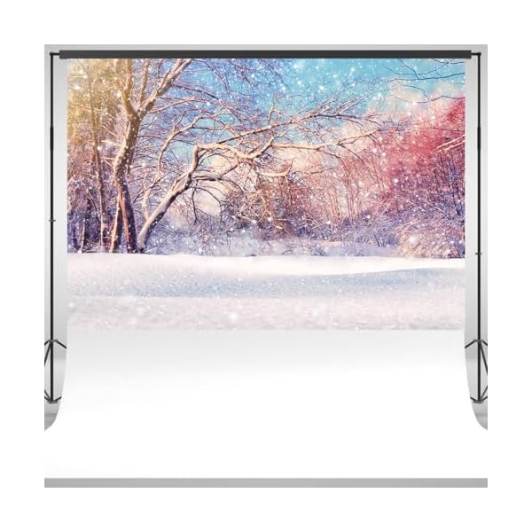 Toile de fond pour photo de paysage de forêt d'hiver - Paysage de neige - Arbres enneigés - Fond de photographie pour studio de stand (2,1 x 1,5 m) 51nGTVzLjHL. SS600