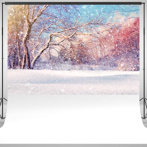 Toile-de-fond-pour-photo-de-paysage-de-foret-dhiver-Paysage-de-neige-Arbres-enneiges-Fond-de-photographie-pour-studio-de-stand-21-x-15-m Toile de fond pour photo de paysage de forêt d'hiver - Paysage de neige - Arbres enneigés - Fond de photographie pour studio de stand (2,1 x 1,5 m)