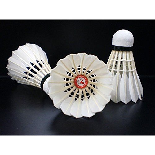 Amazon | CHAO BRAND SPECIAL スペシャル バドミントン シャトルコック