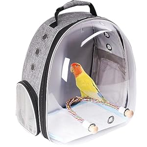 Bird Carrier Rucksack, Bubble Bird Travel Carrier Backpack with Absorbent Pad and Standing Perch (Feathered Grey)