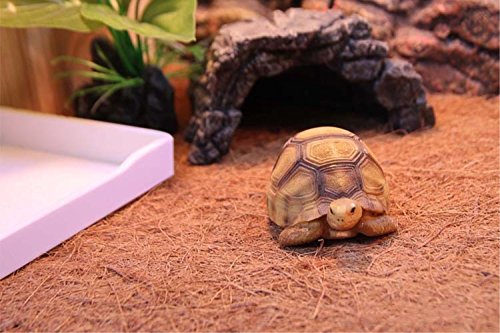 Hamiledyi 2Pcs Reptile Carpet Natural Coconut Fiber Carpet Mat For Pet Terrarium Liner Reptile Supplies For Lizard Snake Chamelon Turtle Bedding Bunny Rabbit Mat #TOP3