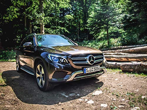 Lifestyle SUVs