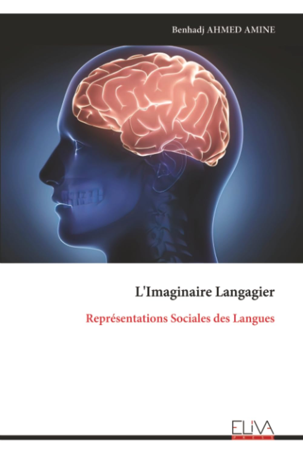 L'Imaginaire Langagier: Représentations Sociales des Langues