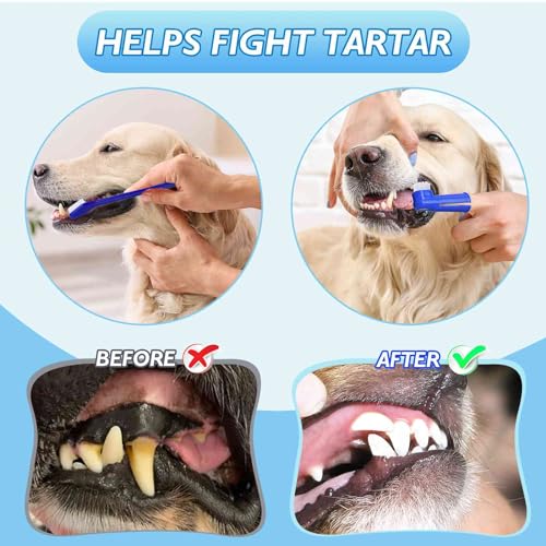 Image of UrbanX Best Dog Toothbrush & Toothpaste Kit for Siberian Husky and Other Working Dogs Dogs - Natural Ingredients Reduce Plaque, Whiten Teeth, Freshen Breath