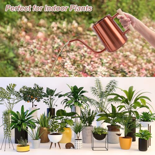 Image of Watering Can Indoor Plants, 35 oz /1000 ml Metal Stainless Steel Watering Can Pot with Long Spout for Indoor House Plants Bonsai Outdoor Garden Flower Decorative (Copper)