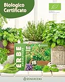 Zoom IMG-1 zengreens set di semi erbe Zoom IMG-1 zengreens set di semi erbe