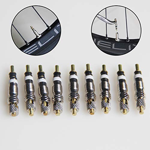 Núcleo de válvula, 10 Piezas de Repuesto para Bicicleta Neumático del neumático del núcleo del vástago de la válvula Tubeless Road MTB Bike Works (Plata)