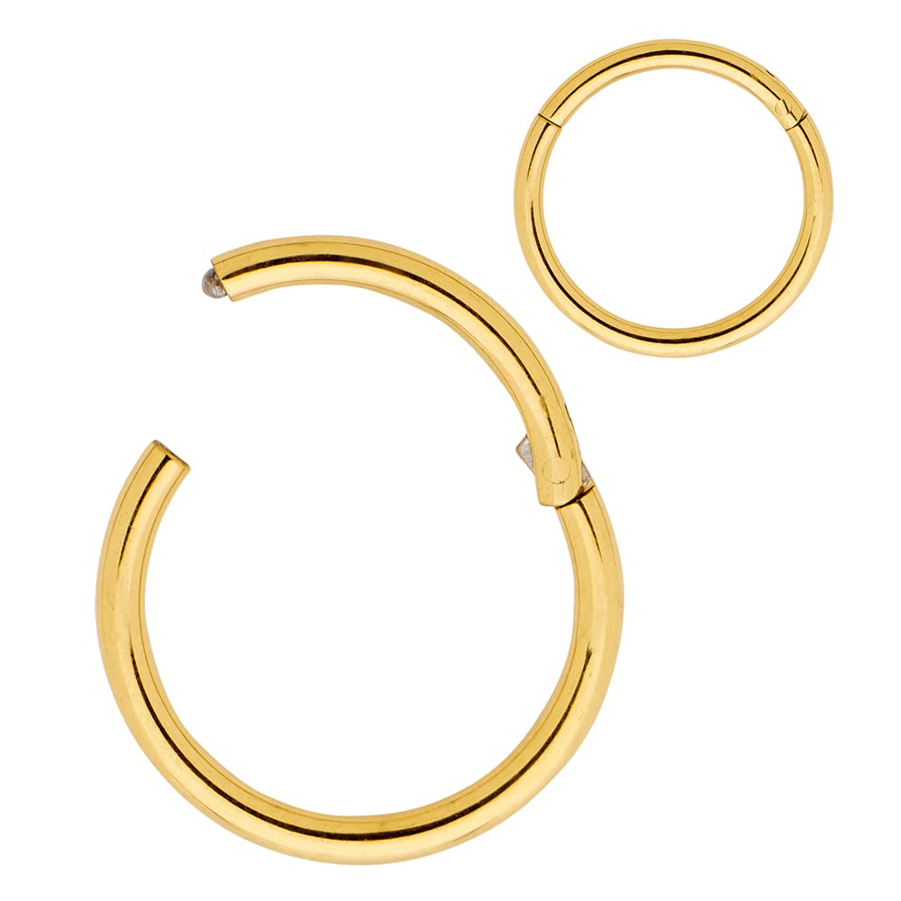365 Sleepers G23 Titanio Unisex Septum Tragus Helix Segmento con bisagras Nariz Labio Anillo Pendientes de aro Joyería piercing del cuerpo 20G 18G 16G 14G 12G 10G 8G