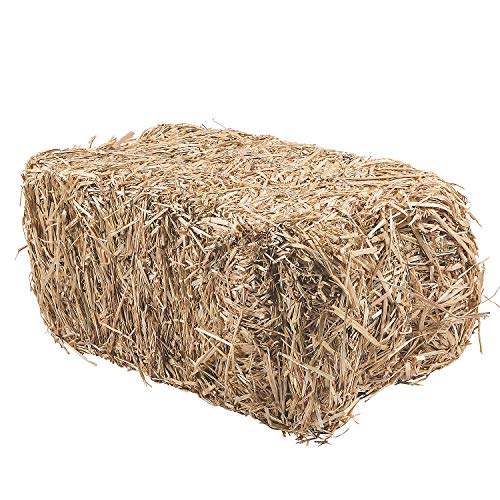 Fun Express Decorative Hay Bales For Decoration - 24' Natural Straw Bale For Fall Outdoor Porch Decor | Fake Hay Stack For Halloween, Thanksgiving &Amp; Harvest Displays