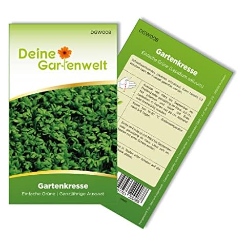 Gartenkresse Einfache Grüne Samen - Lepidium sativum - Gartenkressesamen - Kräutersamen - Saatgut für 1.000 Pflanzen Cover