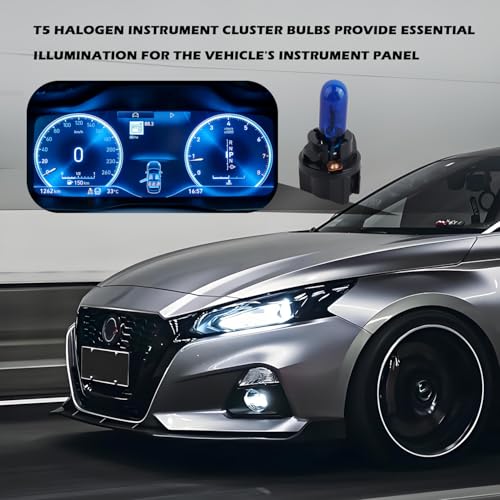Kit 20 Lámparas Halógenas Azul para Tablero de Auto miniatura 6