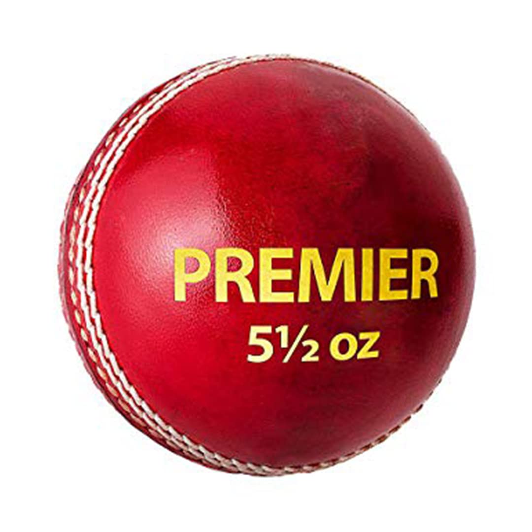 Details about &nbsp;DSC Pace 20 Cricket Leather Ball