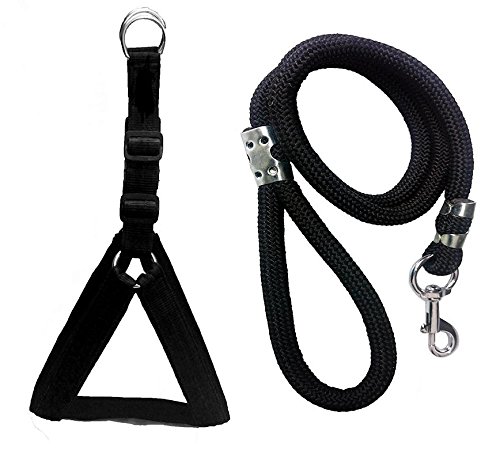 Skora Nylon Padded Black Adjustable Dog Harness & Leash Rope 1 Inch for Medium Size Pet (Chest Size : 24-29) (B07FJVW3N2) Amazon Price History, Amazon Price Tracker