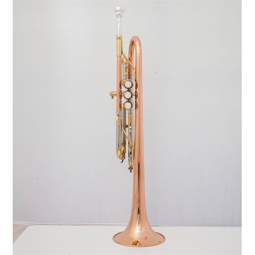 C管 トランペット　ノーブランド C管 トランペット ノーブランド Vincent Bach C管｜トランペット