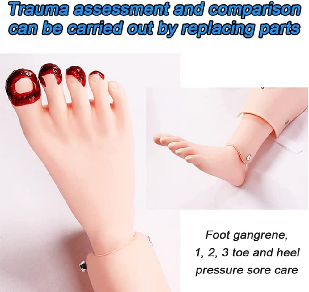 1,5 m Lebensgröße Patientenpflege Manikin Training CPR Simulator Männer und Frauen Austauschbare Still-Manikin für medizinische Pflege, Bildung, Unterricht, PVC