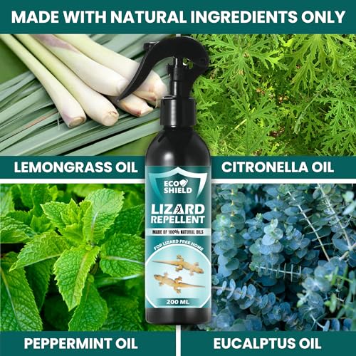 Image of EcoShield Lizard Repellent Spray For Home 200ml | 100% Natural & Effective Pest Control Spray | Blend Of Peppermint & Citronella Oil | Anti Lizard Spray For Home | Safe For Kids And Adults