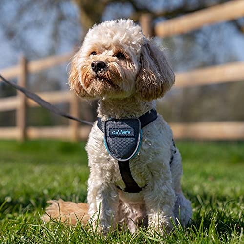 CarSafe Hunde Reisegeschirr, sicher & gesetzeskonform mit dem Hund unterwegs, erfüllt die Straßenverkehrsordnung, Tiere im Auto zu sicheren, für sehr kleine Hunde geeignet (Größe XS)