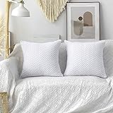 UGASA Plush Velvet Decorative Throw Pillow Covers Luxurious Soft Solid Flannel Pillowcase Cushion Cover Set of 2, 20x20 Inch, Pure White
