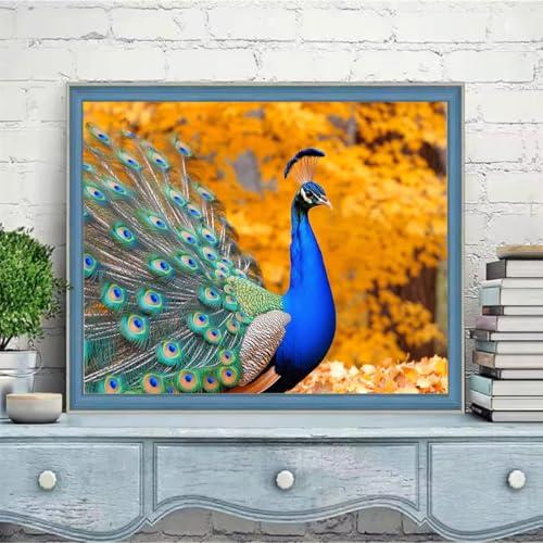 G ? yCgoCio[Lbg lqp  E yCgoCio[Lbg qp uV/ANyCg zIDiy擅 H?? ? ???? z[EH[fR[Vp ւ̃Mtg 60x80cm w6t