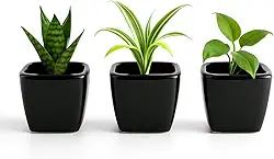 Kit 3 Mini Vasos De Cerâmica Preto Ou Branco, Estilo Minimalista, Ideal Para Suculentas, Arranjos E Decoração De Casa Ou Escritório (Preto, 4,5 de Altura)