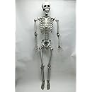 Amazon Co Jp 等身大とりもち ホビー 通販