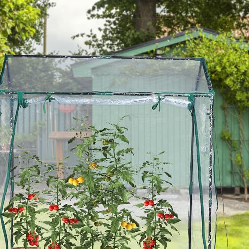 Hamptons Direct Kingfisher GHWIC Ersatzabdeckung für Gewächshaus 5 Hamptons Direct Kingfisher GHWIC Ersatzabdeckung für Gewächshaus – Bild 5