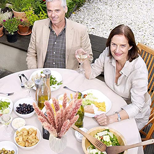 Natuurlijke gedroogde Pampas Gras Gedroogde Pampas Gras Pluizig in Vaas Kunstmatige Pampas Gras Plant Gedroogde Pampas… - Afbeelding 3