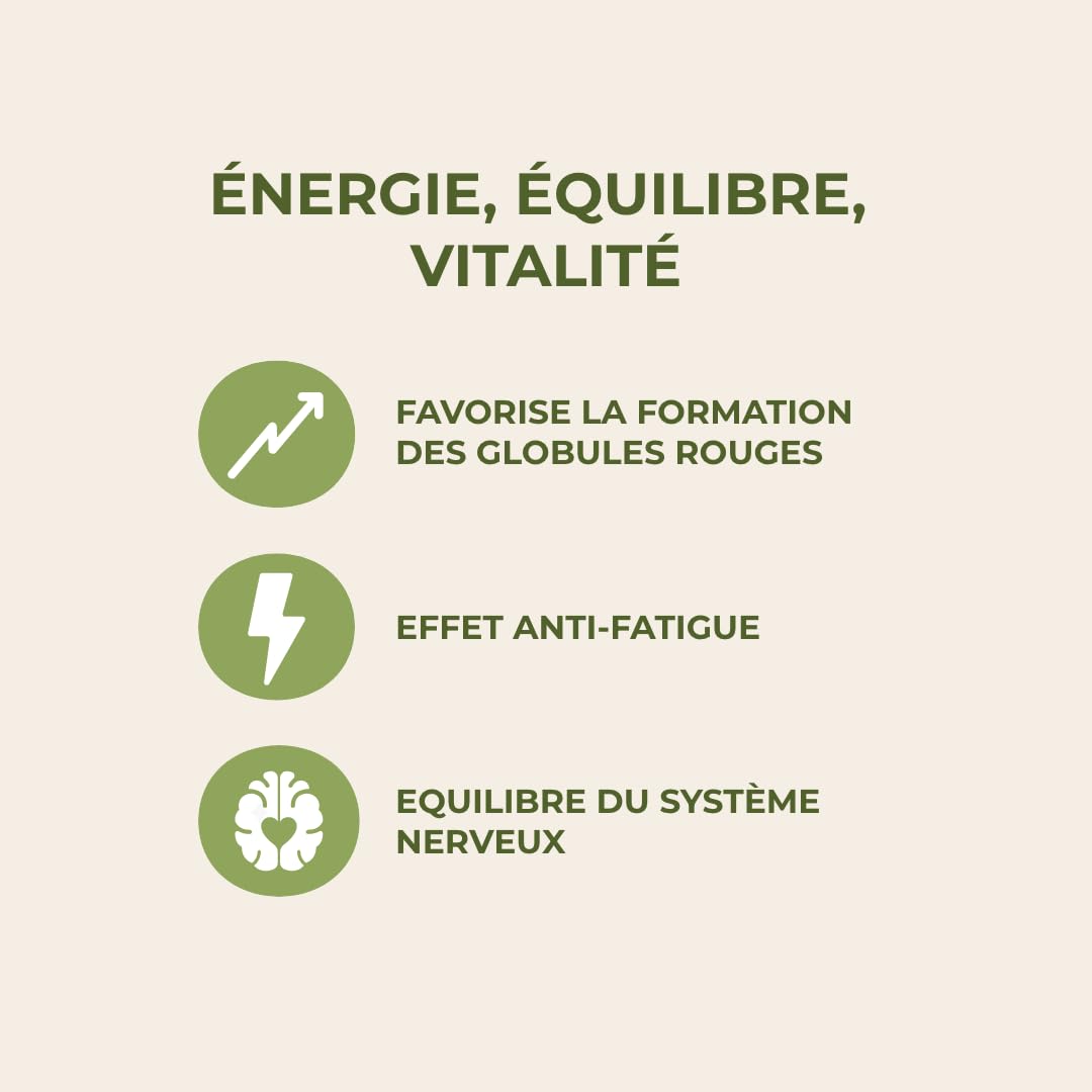 INOLAB VITAMINE B12 - Biologique, Vegan/Extrait de Shiitaké Bio/Methylcobalamine, Adénosylcobalamine & Hydroxocobalamine/B12FORM Haute biodisponibilité
