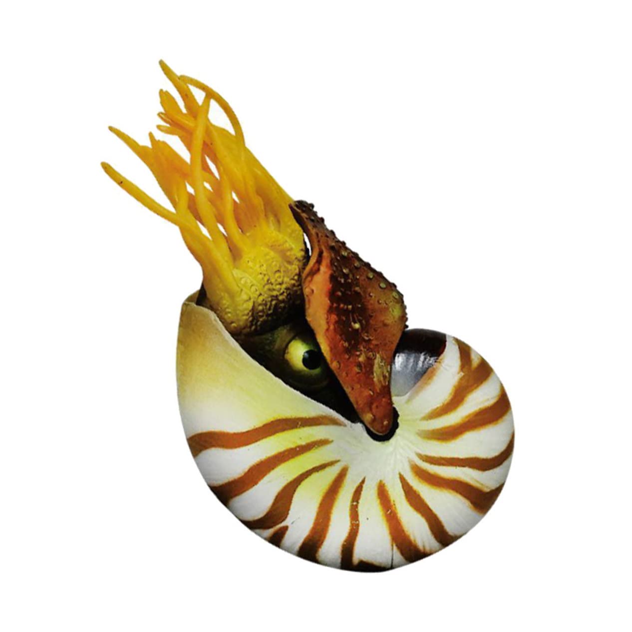 3stücke Simulation Nautilus Muscheldekor Für Aquarien Kreative Deko Für Fischbehälter Wohnzimmer Garten Bastelmaterial Für -kunstwerke Mediterraner Stil Hochwertige