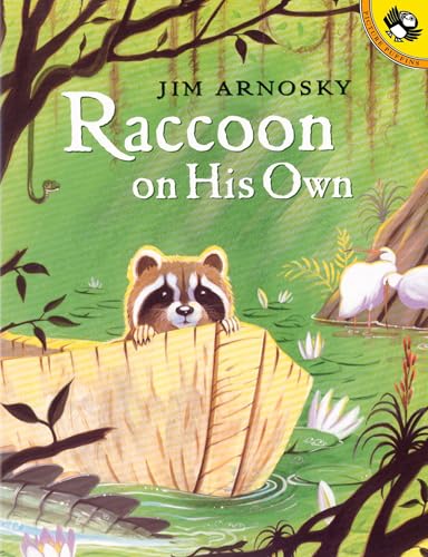 Image of Raccoon On His Own (Picture Puffin Books)