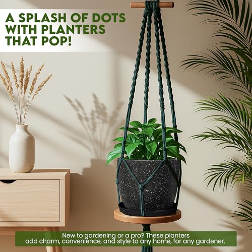 image for Utopia Home - Spotty Plant Pots Indoor with Drainage - 7/6.6/6/5.3/4.8