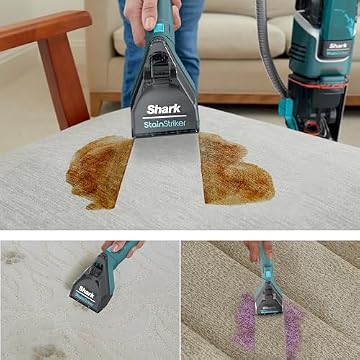 Shark CarpetXpert with StainStriker, listing photo 4