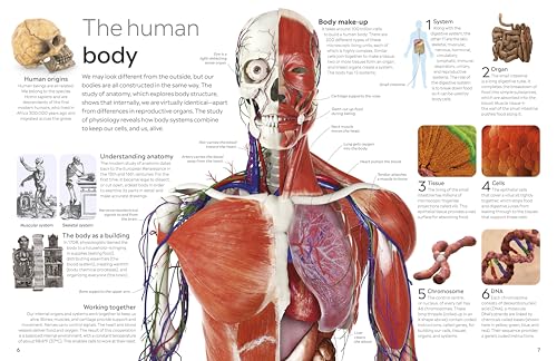 Eyewitness Human Body