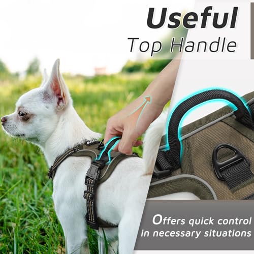Image of Eagloo Dog Harness for Small Dogs, No Pull Pet Vest with 2 Leash Clips