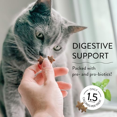 image for Shameless Pets Crunchy Cat Treats - Catnip Treats for Cats with Digest