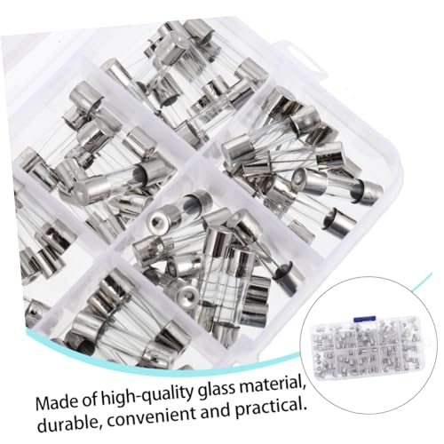 TEHAUX Kit de Fusibles de Vidrio 200 piezas Accion Rápida 5x20mm 0.2A-20A con Estuche miniatura 2