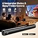 Karaoke Soundbar with Subwoofer for TV: Sound Bar with 2 Wireless Microphones - Home Theater Surround Sound System - Bluetooth Speaker with Remote Supports HDMI ARC/Optical/AUX/USB for TV/PC