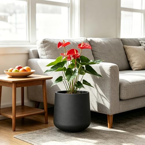 Image of Kante Accent Round Curved Black Concrete Planter 13 inch Dia, Outdoor | Rubber Plug for Indoor, Drainage for Garden, All-Weather Cement Flower Pot, Handcrafted, Anti-Frost & UV, Modern Home Decor