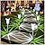DenicMic Solar Lights Outdoor 10 Pack Solar Pathway Lights Outdoor Waterproof Solar Garden Lights LED Stainless Steel Outdoor Solar Lights for Yard Path Walkway Driveway Garden Decor (Cold White)