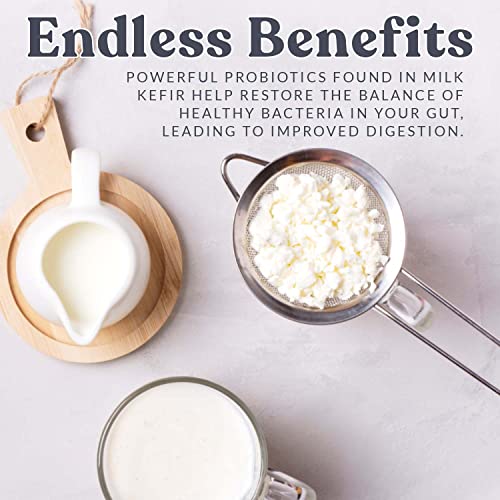 Cultures For Health MKG Milk Kefir Grains | Diy Frothy Dairy Non-Gmo Probiotic Drink thumb #4