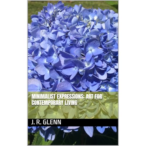 Minimalist Expressions: Art for Contemporary Living by J. R. Glenn episode artwork