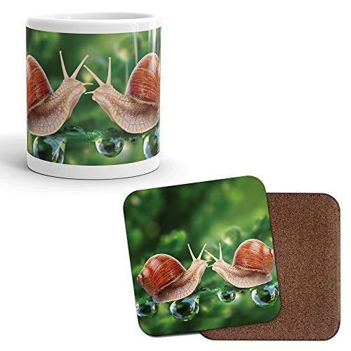 DV Mugs Ltd Juego de taza y posavasos u0096 bonito par de caracol de hojas de naturaleza para niños y niños, regalo divertido #8256, cerámica, Mug & Coaster