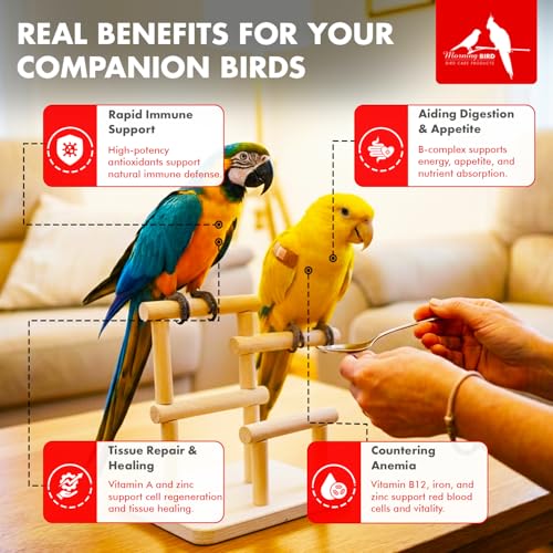 Morning Bird Thrive 2 oz – Daily Multi-Vitamin Bird Supplement for Immune & Recovery Support – Ideal for Sick, Injured, or Recovering Birds – Energy & Wellness Formula for Adult Birds - Image 4